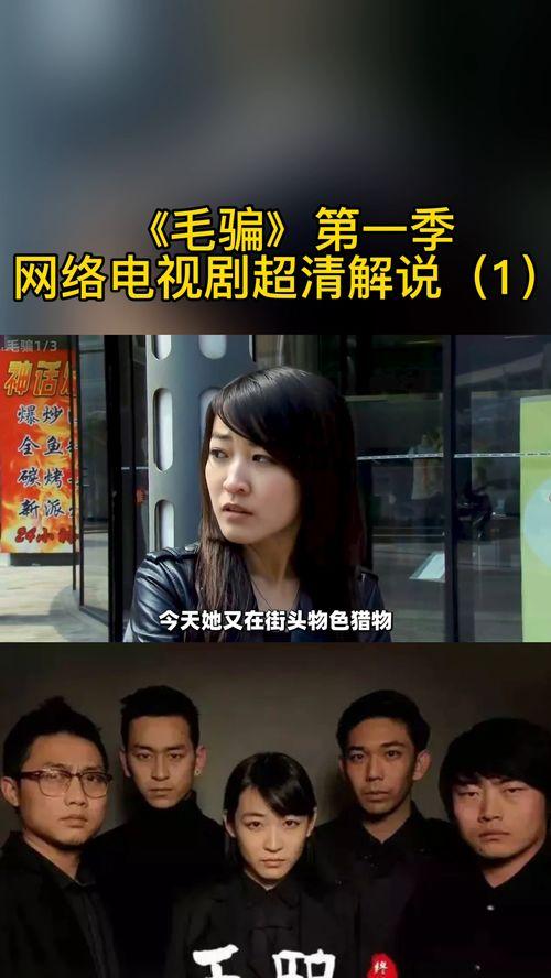 国产版信号剧解说大全视频,剧情解析与亮点回顾